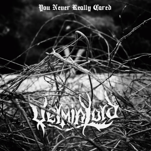 Verminlord : You Never Really Cared